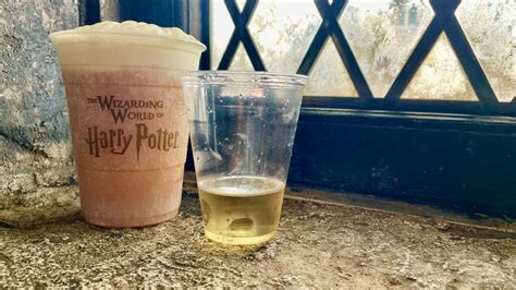 Tipsy on Magic: The Effects of Alcohol in the Wizarding World